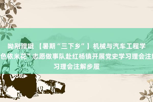 呦剐蹭哦 【暑期“三下乡”】机械与汽车工程学院“四色依米花”志愿做事队赴红杨镇开展党史学习理会注解步履