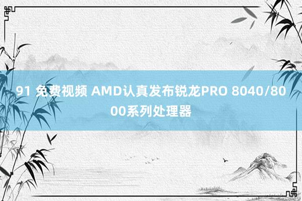 91 免费视频 AMD认真发布锐龙PRO 8040/8000系列处理器