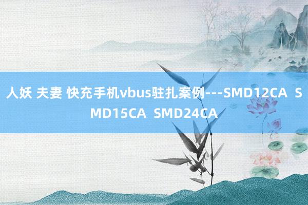 人妖 夫妻 快充手机vbus驻扎案例---SMD12CA  SMD15CA  SMD24CA