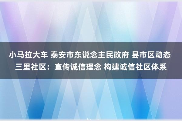 小马拉大车 泰安市东说念主民政府 县市区动态 三里社区：宣传诚信理念 构建诚信社区体系