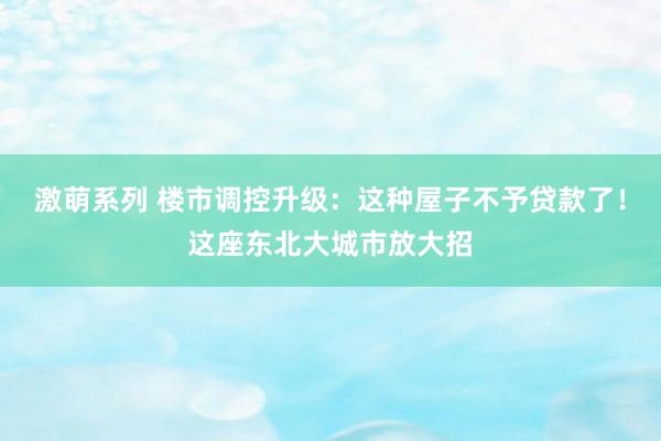 激萌系列 楼市调控升级：这种屋子不予贷款了！这座东北大城市放大招