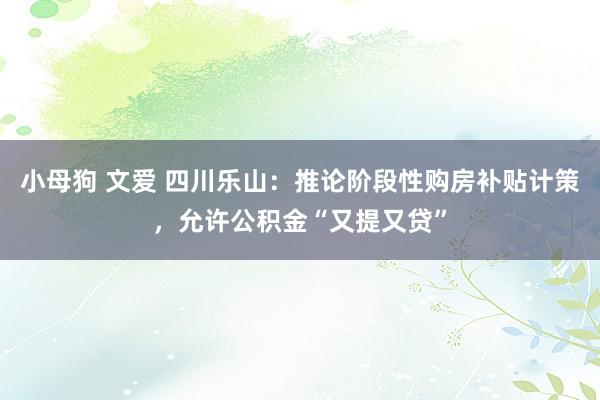 小母狗 文爱 四川乐山：推论阶段性购房补贴计策，允许公积金“又提又贷”