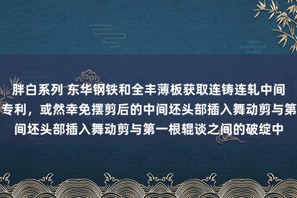 胖白系列 东华钢铁和全丰薄板获取连铸连轧中间坯舞动剪辊谈交接结构专利，或然幸免摆剪后的中间坯头部插入舞动剪与第一根辊谈之间的破绽中