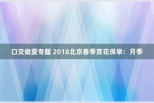 口交做爱专题 2018北京春季赏花保举：月季