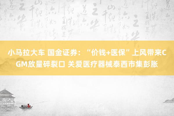 小马拉大车 国金证券：“价钱+医保”上风带来CGM放量碎裂口 关爱医疗器械泰西市集彭胀