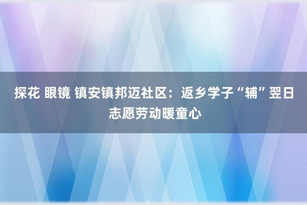 探花 眼镜 镇安镇邦迈社区：返乡学子“辅”翌日 志愿劳动暖童心