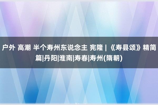 户外 高潮 半个寿州东说念主 宪隆 | 《寿县颂》精简篇|丹阳|淮南|寿春|寿州(隋朝)